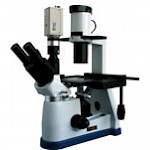 BM-37XBC生物显微镜