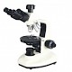 59X系列透射偏光显微镜