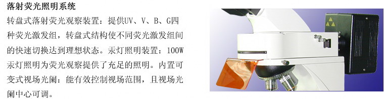 上海仪器有限公司荧光显微镜