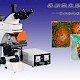 DYF-400正置荧光显微镜