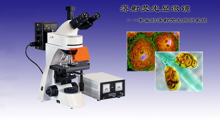 上海仪器有限公司荧光显微镜