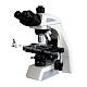 
BL-610T医疗病例生物学研究用显微镜