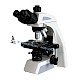 
BL-610T医疗病例生物学研究用显微镜