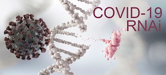 针对COVID-19的新目标：针对冠状病毒缠结的RNA链的治疗