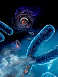 通过映射突变热点揭示新的癌症驱动因素和生物标志物