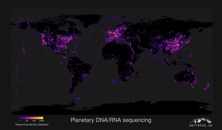 行星 DNA/RNA 测序