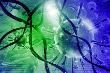 研究小组在一些意想不到的地方发现了新的冠状病毒种类
